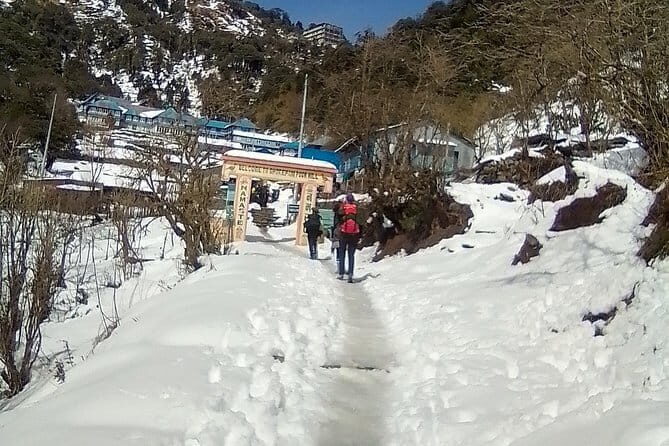 Dhaulagiri Circuit Trek - 17 Day - Days 14-15: Descending to Yak Kharka and Marpha