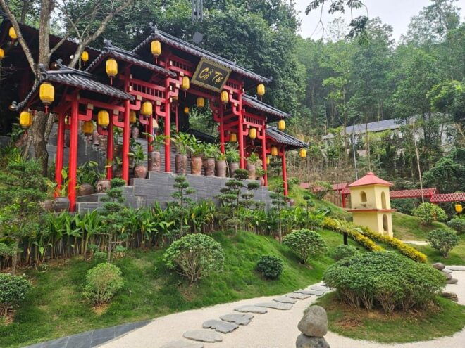 Dia Tang Phi Lai, Cay Thi Pagoda & Trang an Complex Day Tour - Culinary Experience
