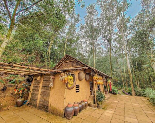 Dia Tang Phi Lai, Cay Thi Pagoda & Trang an Complex Day Tour - Booking Information