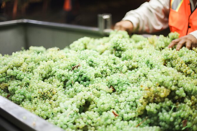 Diamantakis Private Winery Visit and Tasting of 6 Wine Labels - Cancellation Policy