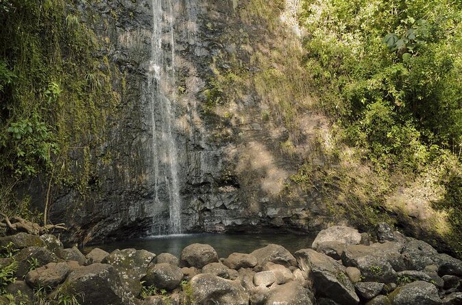 Diamond Head and Manoa Falls Self Guided Hiking Combination Tour - Transportation Details
