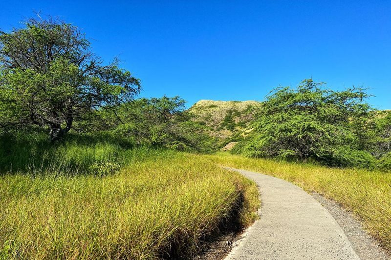 Diamond Head Crater Hiking, Oahu Island, and North Shore Tour - What the price covers, and what it does not