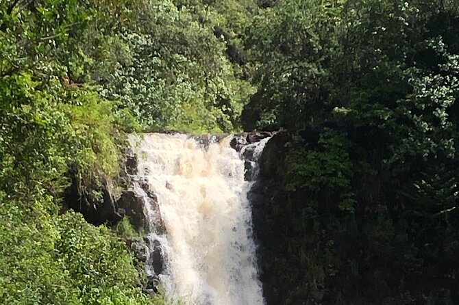 Diamond Head Crater Trail , Sightseeing & South Side Beach Day - Minimum Travelers and Refunds