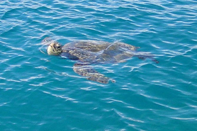 Diamond Head Sail and Snorkel Adventure - Value for Money