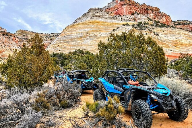 Dianas Throne UTV Adventure Near Zion National Park - Off-Road Experience in East Zion