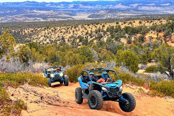 Dianas Throne UTV Adventure Near Zion National Park - Drive a High-End Off-Road Vehicle