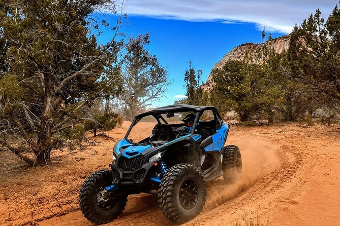 Dianas Throne UTV Adventure Near Zion National Park - Discover Beauty Just Outside Zion Park