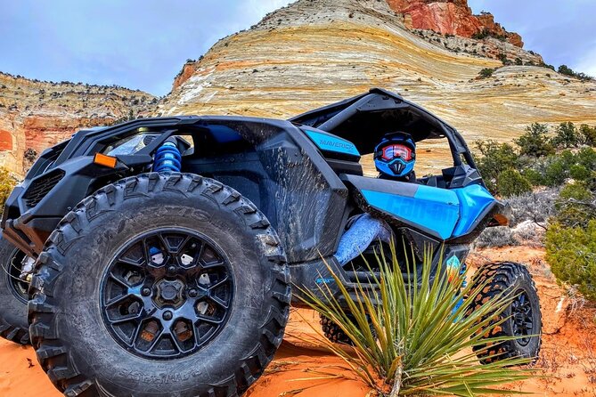 Dianas Throne UTV Adventure Near Zion National Park - Confirmation and Accessibility Information