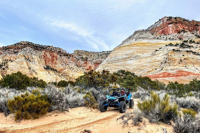 Dianas Throne UTV Adventure Near Zion National Park - Common Questions