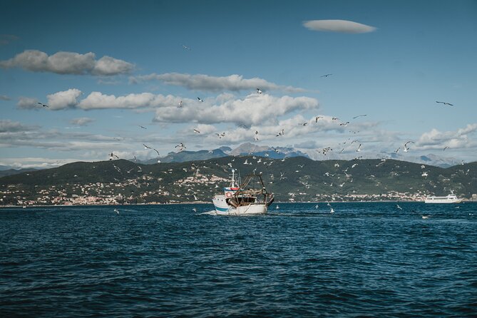 Didi Boat Tour With Davide-Explore the Island and Portovenere - Island Exploration