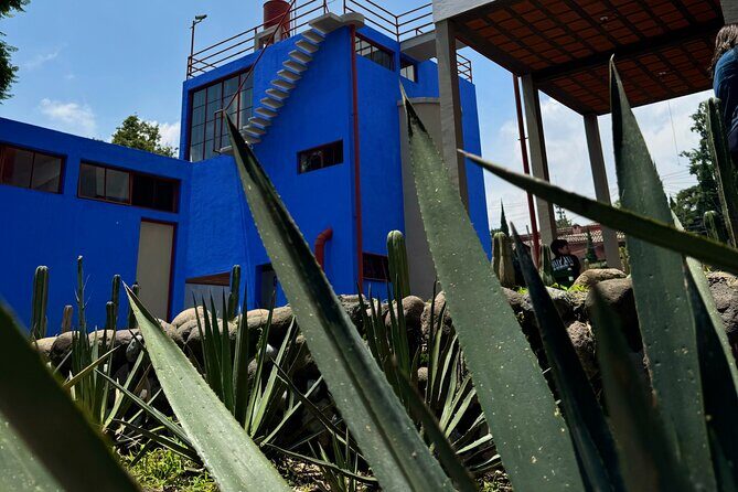 Diego Rivera Frida Kahlo Studio House Tour - Final Thoughts