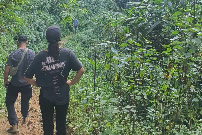 Dien Bien Phu and Pu To Co War Trail Trekking Day Tour - FAQ