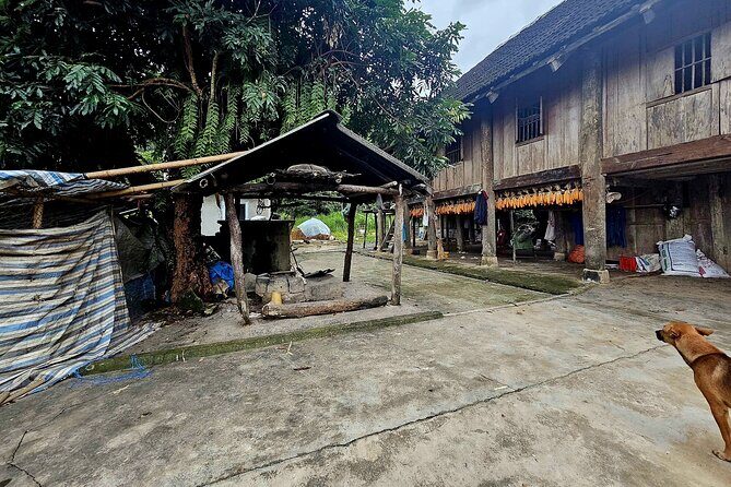 Dien Bien Phu Nightlife: Food, Music & Culture - FAQ