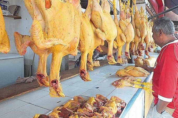 Different Faces Of Acapulco Tour - Who Would Enjoy This Tour?