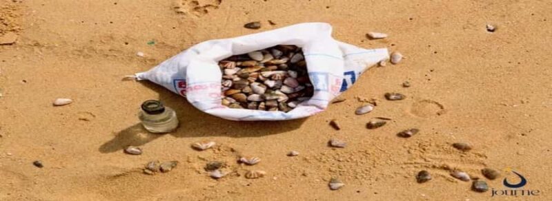 Dig, Discover & Dine  Jaffnas Coastal Clam Experience - Exploring the Coastal Heritage of Jaffna