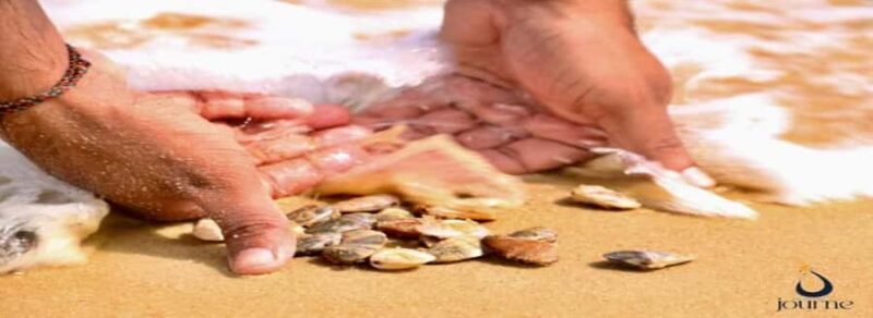 Dig, Discover & Dine  Jaffnas Coastal Clam Experience - The Itinerary in Detail