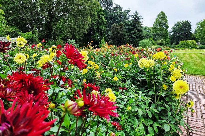 Digital Audio Book Scavenger Hunt and City Rally in the Flora Cologne - Tips for a Successful Scavenger Hunt Experience
