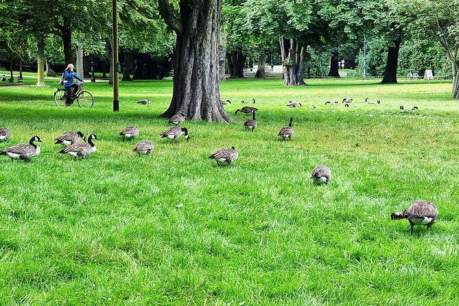 Digital Scavenger Hunt and City Rally in the Volksgarten in Cologne - Tour Details