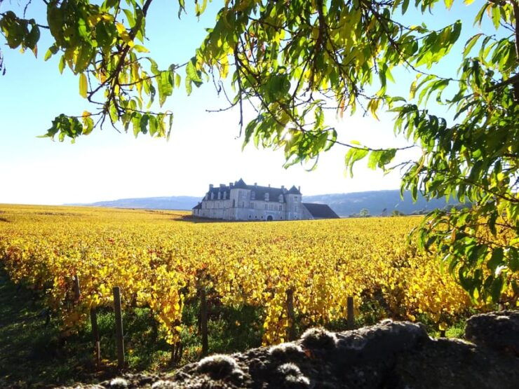 Dijon and the Wine Coast in 1 Day - Key Points