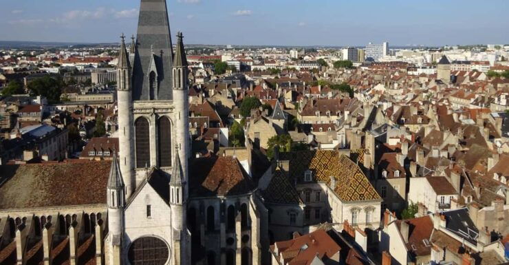 Dijon and the Wine Coast in 1 Day - Morning Walking Tour