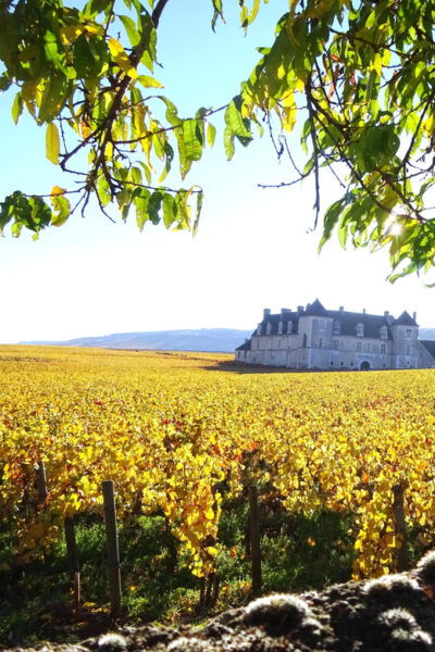 Dijon and the Wine Coast in 1 Day - Additional Activities Available