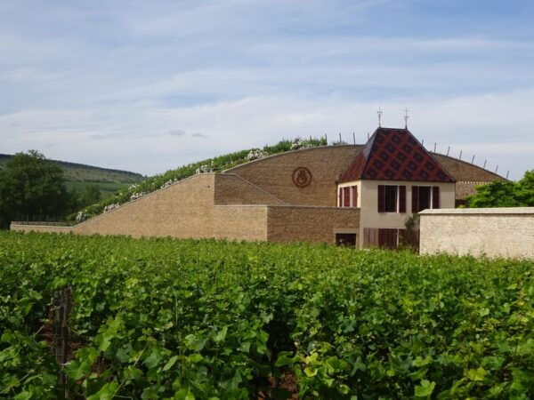 Dijon and the Wine Coast in 1 Day - Essential Information for Travelers