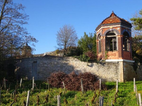 Dijon and the Wine Coast in 1 Day - Questions You May Have