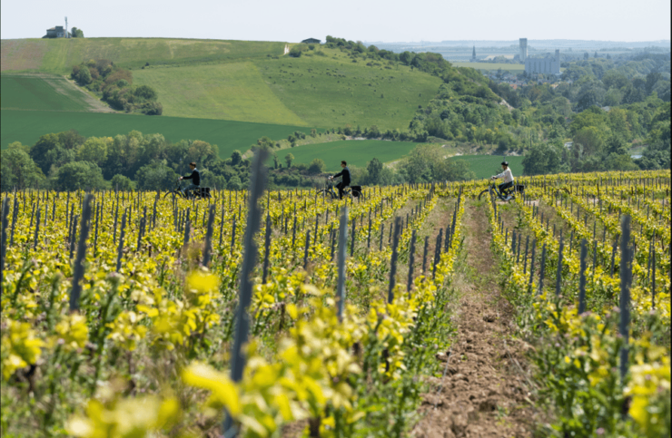 Dijon/Beaune: Full Day Ebike Burgundy Tour, Tastings & Lunch - Itinerary Highlights