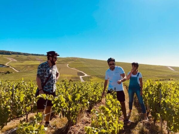 Dijon/Beaune: Full Day Ebike Burgundy Tour, Tastings & Lunch - Cycling Route Details