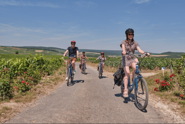 Dijon/Beaune: Full Day Ebike Burgundy Tour, Tastings & Lunch - Questions You May Have