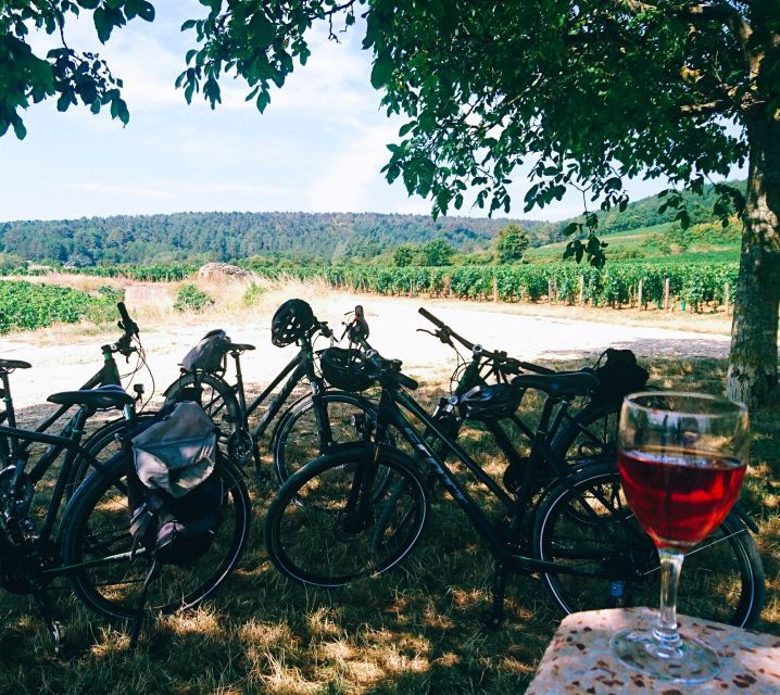 Dijon: Bike Tour and Tastings in the Vineyards of Burgundy - Tour Overview