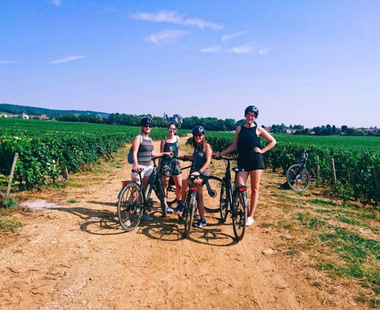 Dijon: Bike Tour and Tastings in the Vineyards of Burgundy - Activity Details