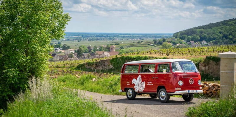 Dijon: Burgundy Small-group Vintage Van Tour - An Introduction to Burgundys Vineyards in Style