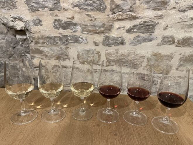 Dijon: Cheese and Wine Pairing Session - Review Feedback