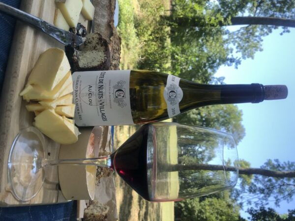 Dijon: Cheese and Wine Pairing Session - Overall Impression