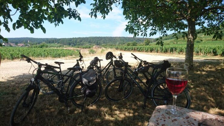 Dijon: Half-Day Guided Gourmet Bike Tour - Tour Details