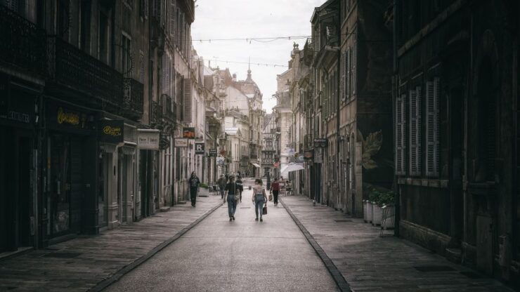 Dijon: Historic Guided Walking Tour - Free Cancellation and Flexible Booking Options