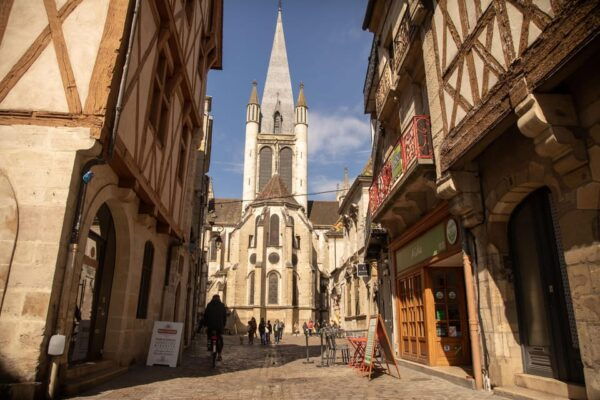 Dijon Historical City Center Private Walking Tour - Questions You May Have