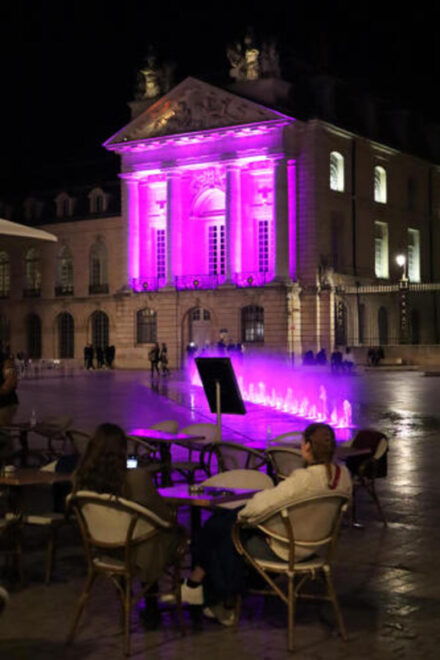 Dijon: Nighttime Tour - Questions You May Have