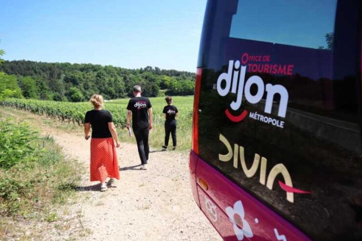 Dijon - OenoTour - Key Points