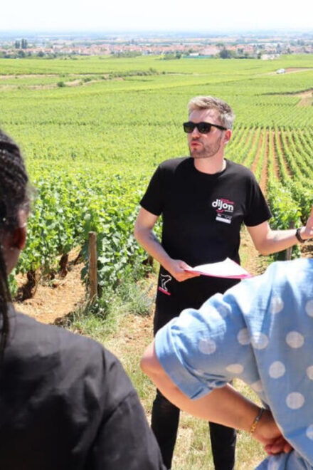 Dijon - OenoTour - Highlights of the Tour