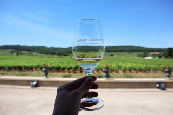 Dijon - OenoTour - Tips for Participants