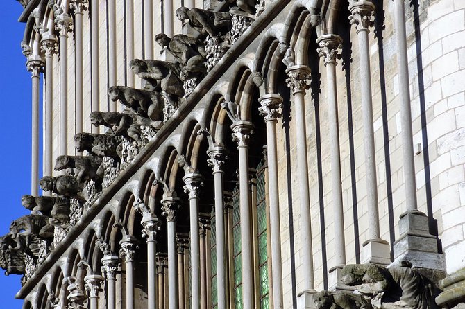 Dijon - Visite Historique À Pied Guidée - Reviews