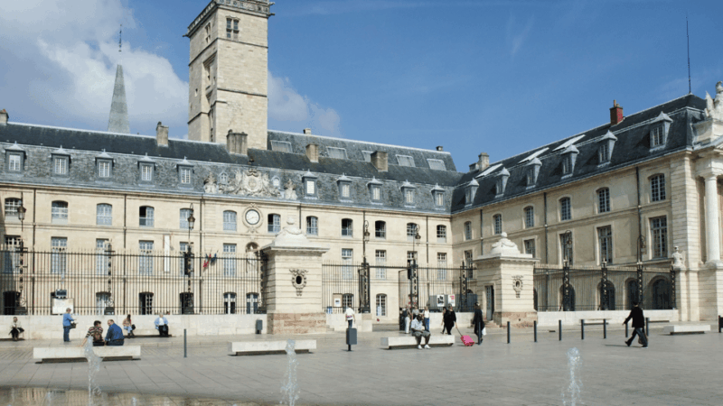Dijon: Walking Tour: on the Owls Trail - Exploring Dijons Historical Landmarks