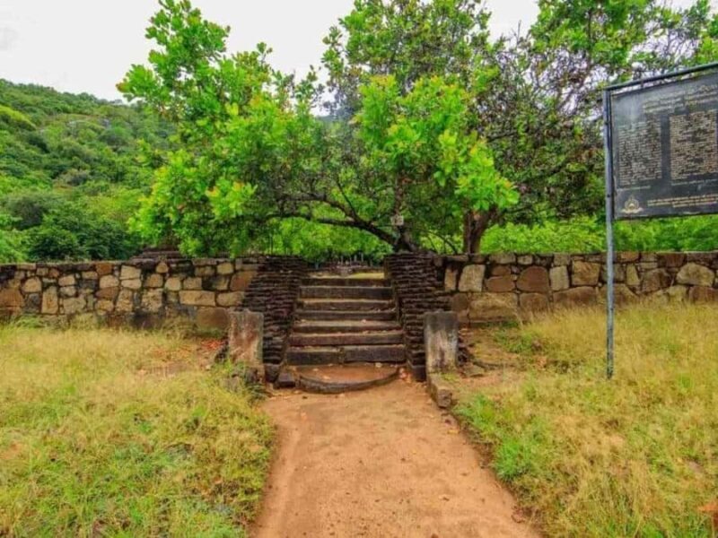 Dimbulagala Eco Trekking and Village Tour From Polonnaruwa - Good To Know