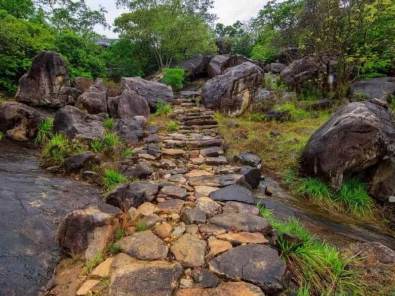Dimbulagala Eco Trekking and Village Tour From Polonnaruwa - An Authentic Look at Sri Lankas Natural Beauty
