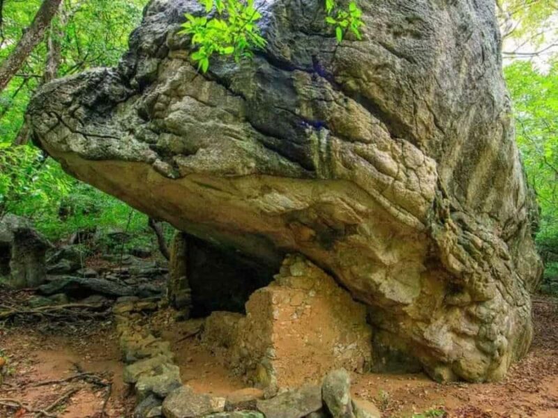 Dimbulagala Eco Trekking and Village Tour From Polonnaruwa - Connecting with the Village Life