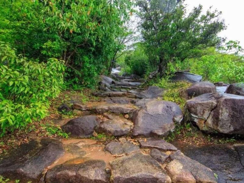 Dimbulagala Eco Trekking and Village Tour From Polonnaruwa - Practical Details & What to Expect