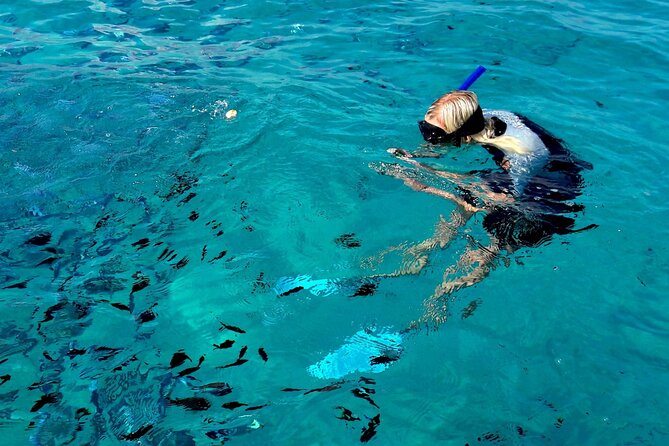 Dinghy Tour With Snorkeling to Tavolara Island From Olbia - Snorkeling Experience