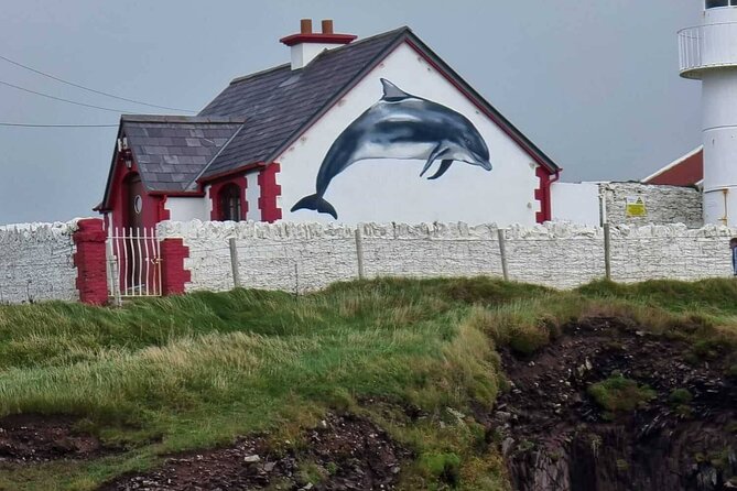 Dingle Bay Cliff Tour - Reviews and Additional Information